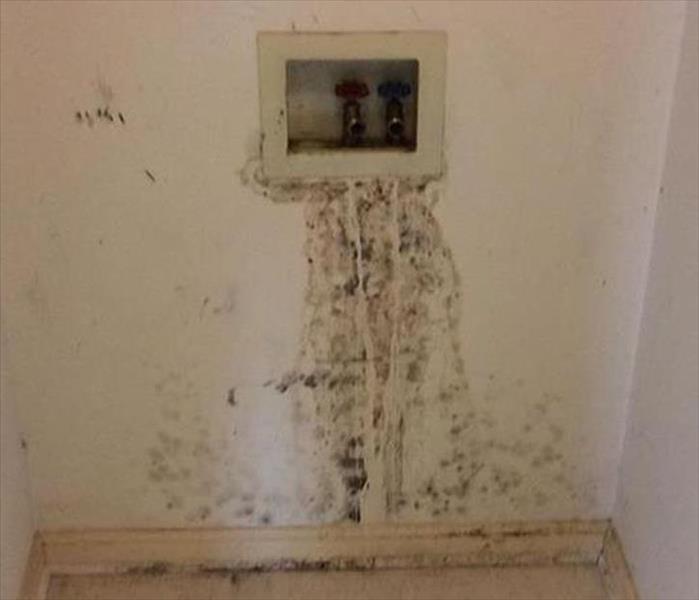 mold stains below water tap in utility closet