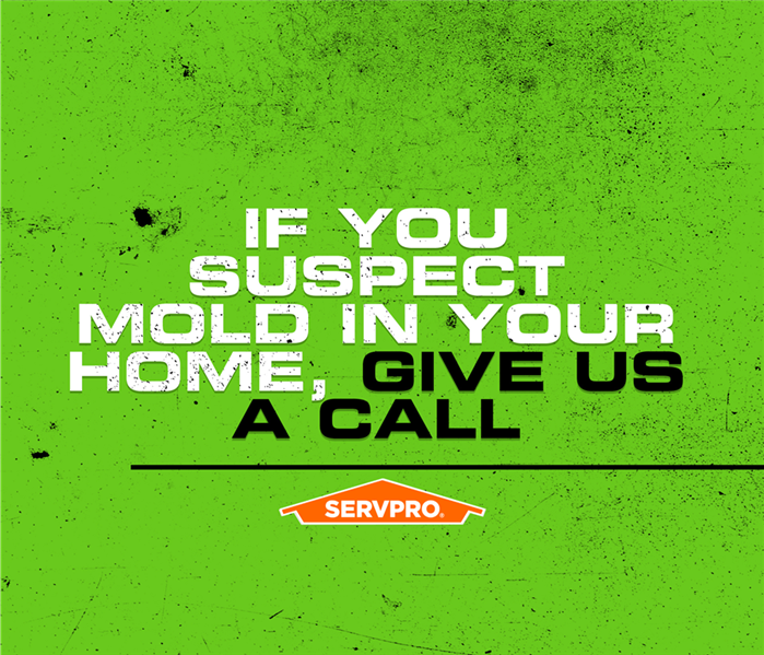 SERVPRO POSTER IF YOU DETECT MOLD