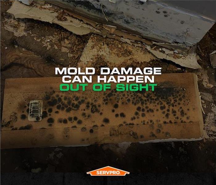 mold on the wall, SERVPRO logo