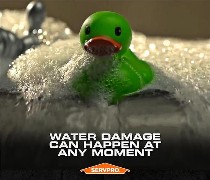 green duck floating on water SERVPRO logo
